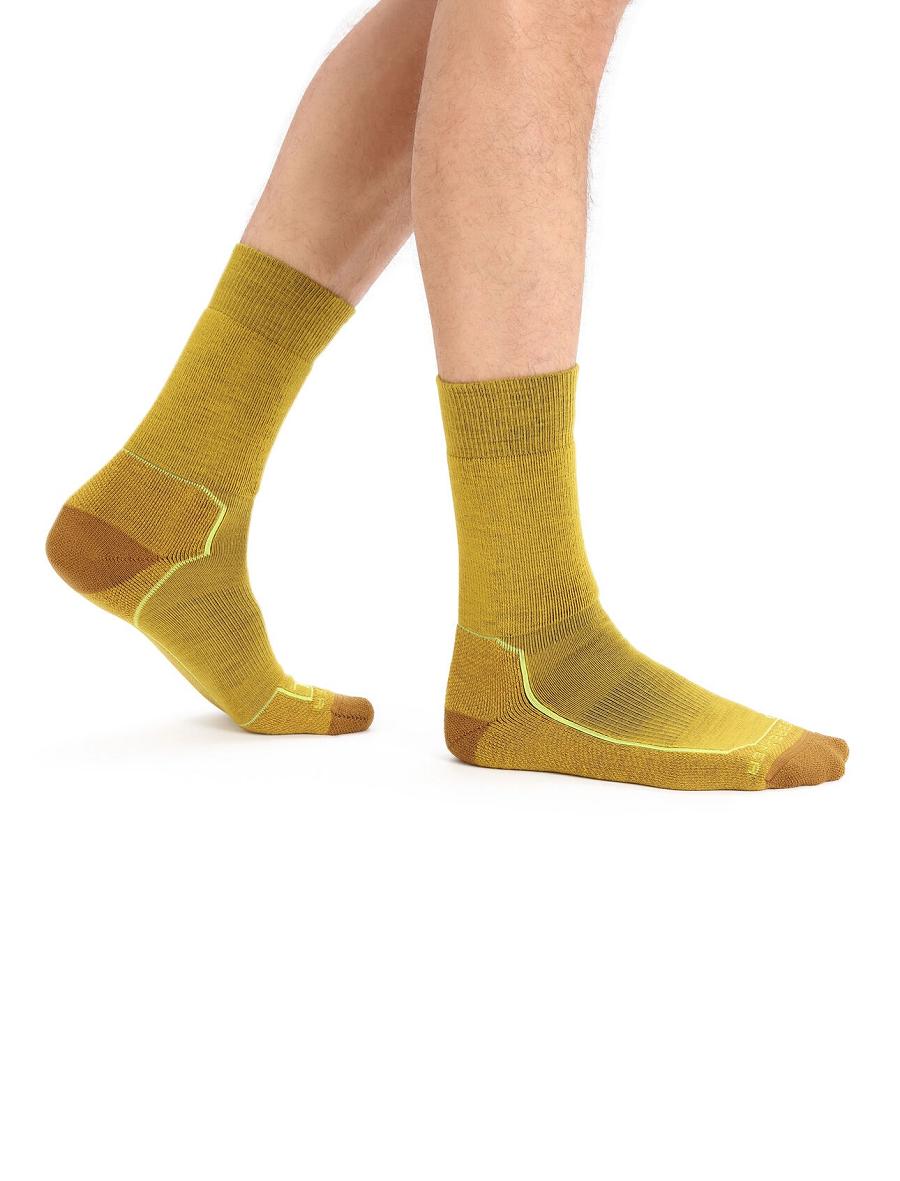 Men\'s Icebreaker Merino Hike+ Medium Crew Socks Silent Gold / Clove | CA 1925BEXC